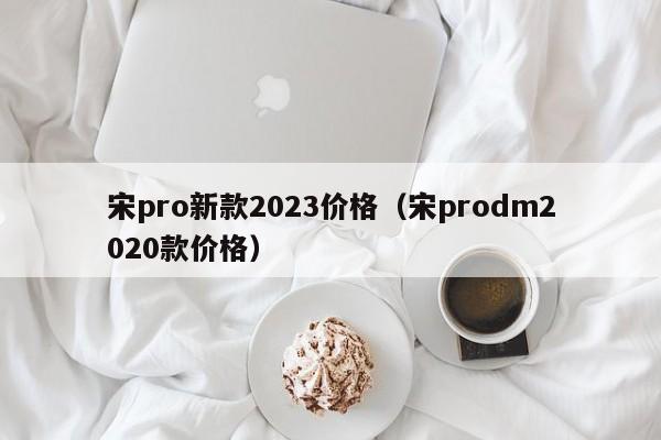 宋pro新款2023价格（宋prodm2020款价格）